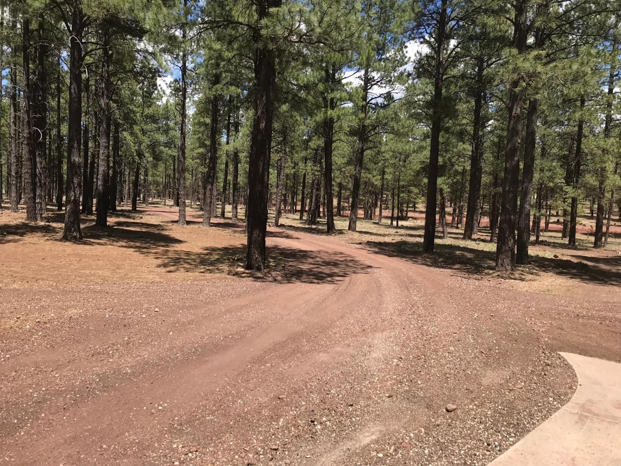Grand Canyon 1Bd Loft/Suite-Horseback Riding-Shooting-Dogs Ok! Parks Exterior foto